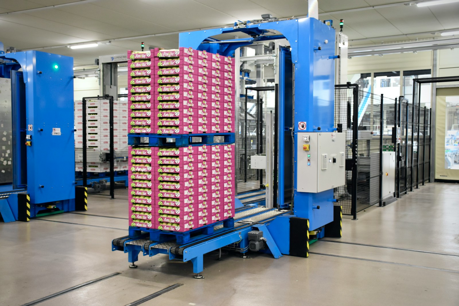 A busy factory with workers sorting red apples on conveyor belts indoors.